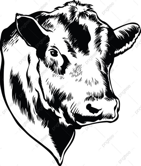 ilustracion de vector de cabeza de toro png vaca steer casero png