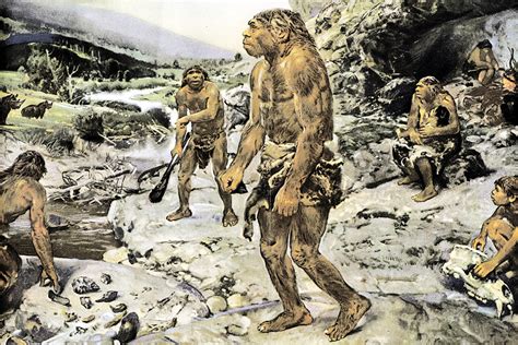 neanderthal war