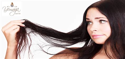 oily hair worries yemaya salon  lifestyle  kloof