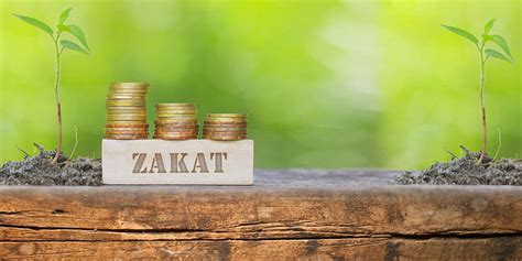 zakat  islam  perfect stories