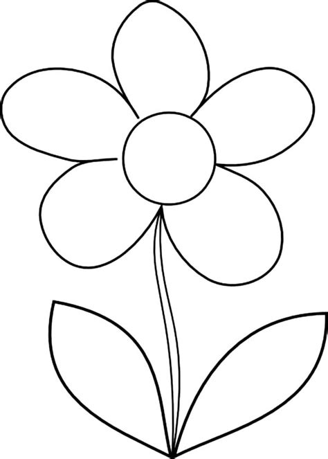 draw daisy flower coloring page  print