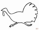 Turkey Running Outline Coloring Pages Supercoloring Color sketch template