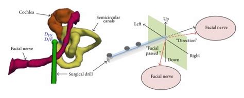 configuration   proposed surgical navigation system    scientific