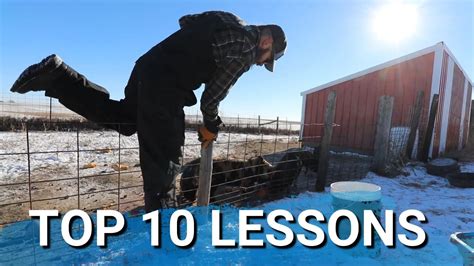 top  lessons learned    year  homesteading