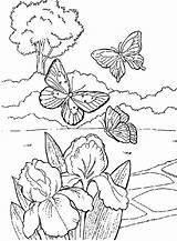 Coloring Garden Pages Butterflies Flowers Beautiful Flower Butterfly Kids Clipart Sheets Spring Drawing Print Colouring Printable Birds Summer Book Popular sketch template