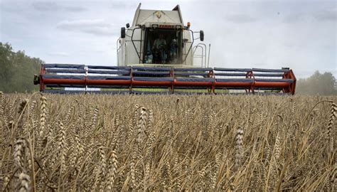wheat prices   wheat expensive   deseret news