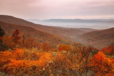 convince   fall    time  visit shenandoah  postcard traveler