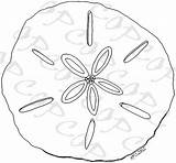 Sand Dollar Coloring Color Seashell Printable Getcolorings Print Pages Getdrawings sketch template