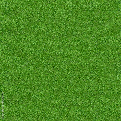 green grass texture  background green lawn pattern  texture