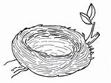 Nest Coloring Pages Bird Choose Board sketch template