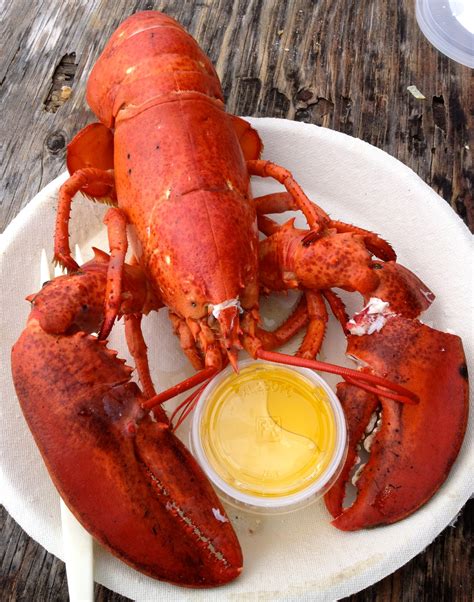 lobster bisque   manhattan kitchen