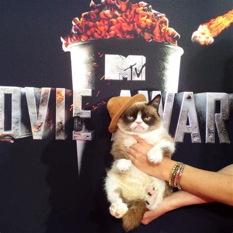 grumpy cat volt az mtv movie awards igazi sztárja fotók hír ma