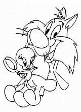 Tweety Sylvester Coloring Kids Pages Funny Print Printable sketch template