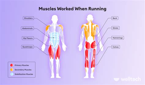 running build leg muscle welltech