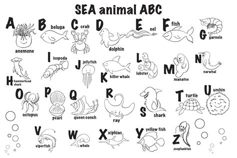 sea animal abc coloring pages graphic  inkandbrush creative