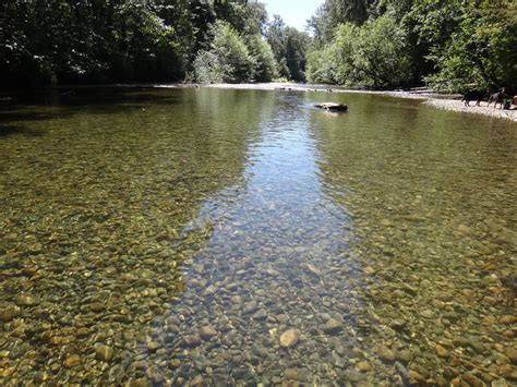 coquitlam river warm shallow water  july perfect  flickr