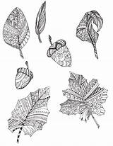 Automne Feuilles Plantes Coloriages Feuille Artherapie Gratuitement sketch template