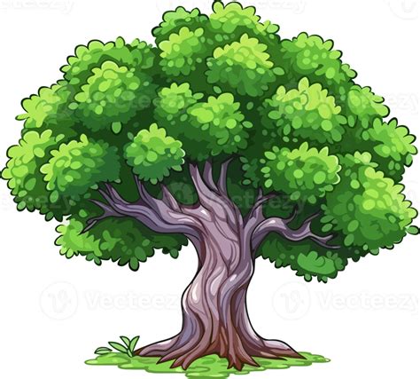 elm tree transparent background  png
