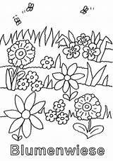 Blumenwiese Ausmalbilder Ausmalen Malvorlage Kostenlose Blumen Malvorlagen Familie Ausmal Bienen Insekten sketch template