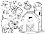 Bauernhof Ausmalbild Verschiedene Malvorlage Schule Kostenlosen Schweine Besuchen Bastelideen Hühner sketch template