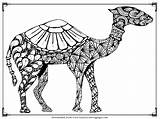 Camel Clipartmag Dromedary sketch template