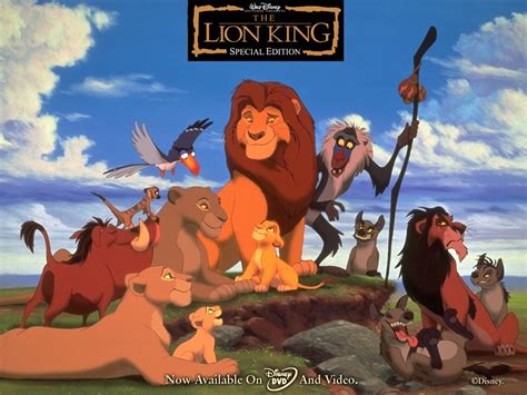 lion king  animal life