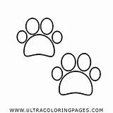 Coloring Paw Print Prints Pages sketch template