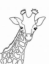 Giraffe Coloring Baby sketch template