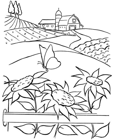beautiful sunflower  farm coloring page coloring sky
