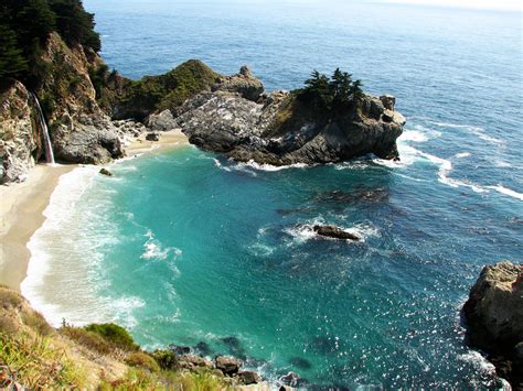 california coast redturnip