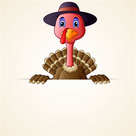 Turkey Holding A Blank Sign Illustrations Royalty Free