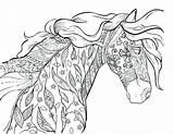 Ostwind Ausmalbilder Mandala Bojanje Mandalas Odrasle Konja Adults Cavalli Adulti Stranice Pferde Cavallo Cindy Elsharouni sketch template