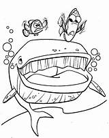 Nemo Whale Marlin Dory Clownfish Sheets sketch template