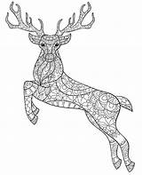 Coloring Deer Pages Adults Stag Printable Colouring Print Color sketch template