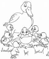 Duckling Ugly Coloring Pages Duck Kids Feo Patito Clipart Para El Colorear Drawing Ducklings Dibujo Cuento Baby Printable Farm Clipground sketch template