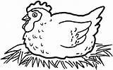 Coloring Pages Chicken Cow Animal Chickens Printable Farm sketch template