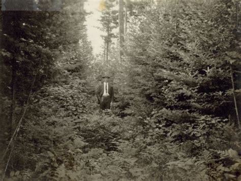 man standing  trees photograph wisconsin historical society