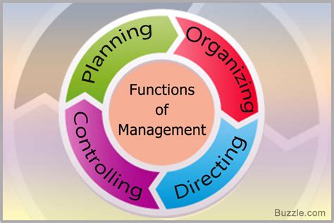 learn  management concepts    functions