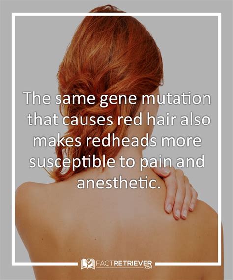 42 interesting facts about redheads redhead facts