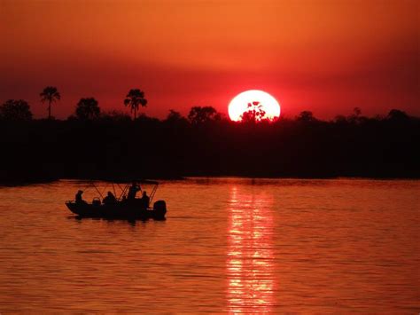 sunset cruise on the zambezi river helen in wonderlust