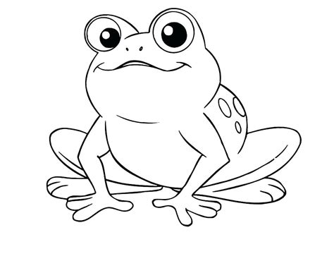 tree frog drawing  getdrawings