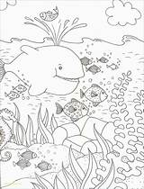 Coloring Heimische Ausmalen Malvorlagen Frisch Fische Gemerkt sketch template