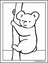 Koala Coloring Pages Boo Peek Realistic Baby Cute Sheet Colorwithfuzzy sketch template