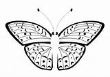Vlinder Kleurplaat Schmetterling Mariposa Sommerfugl Farfalla Malvorlage Vlinders Fargelegge Kleurplaten Tegninger Tekenen Fargelegging Schoolplaten Printen Afkomstig Herunterladen sketch template