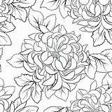 Coloring Chrysanthemum Pages Henkes Kevin Japanese Flower Drawing Getcolorings Styles Getdrawings Outline sketch template