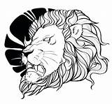 Head Lion Coloring Face Lions Pages Getdrawings Drawing sketch template