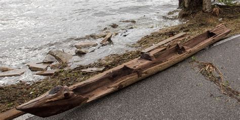 history blog blog archive irma exposes dugout canoe history buff saves