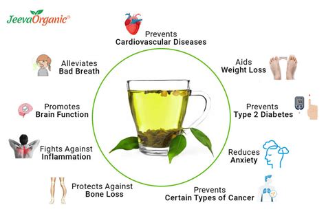 top scientifically proven benefits  green tea green tea