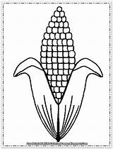 Corn Coloring Pages Ear Cob Printable Clipart Drawing Template Stalk Indian Plant Candy Kids Diagram Color Cartoon Book Print Clip sketch template