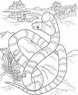 Coloring Pages Snake Desert Year Chinese Kids Snakes Cute Activity Printable Color Print Habitat Getdrawings Getcolorings Coloringkids sketch template